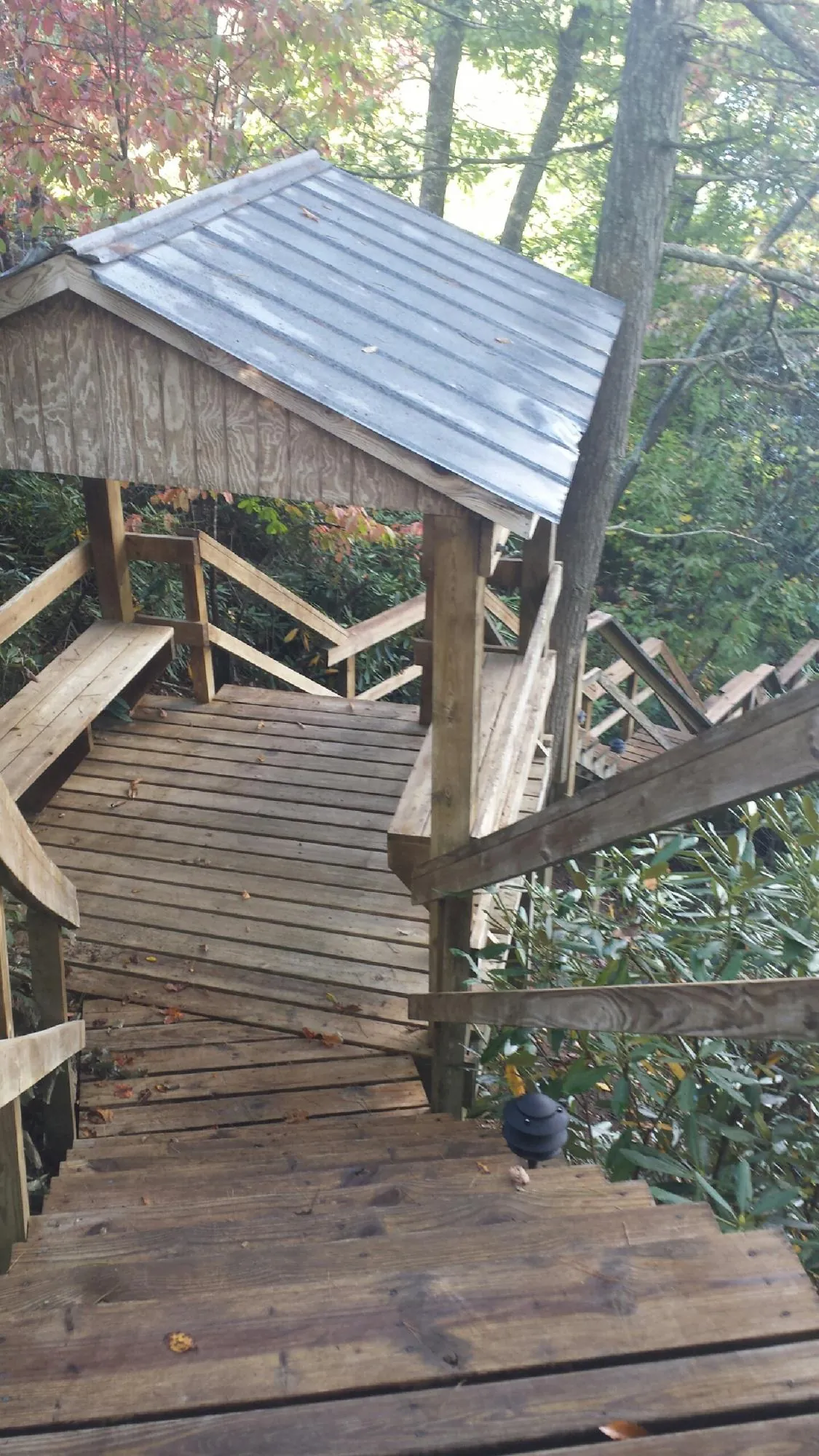 Metal roofed shelter over wooden steps on a wooded walkway — Skylight Repair & Installation work by our crew in Elk Grove